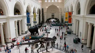 eeuu-chicago-museos-entrada-gratis eeuu-chicago-museos-entrada-gratis