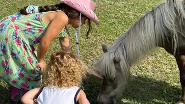 Granjas de animales de contacto: beneficios que aportan a los niños Granjas de animales de contacto: beneficios que aportan a los niños