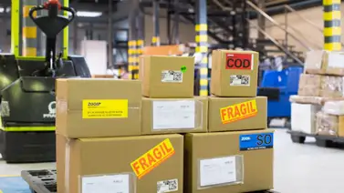 Estas son las salidas semanales de Zoom para noviembre Estas son las salidas semanales de Zoom para noviembre