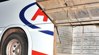 Autobús chocó con una vaca en plena avenida de Maracay (+Detalles)