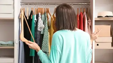 Protege la ropa de las polillas colocando hojas de esta planta en el closet  Protege la ropa de las polillas colocando hojas de esta planta en el closet