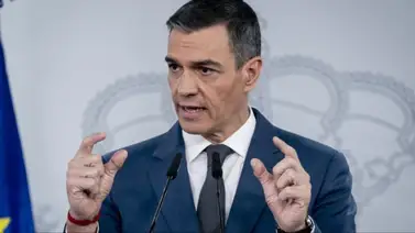 Subastan palo usado para agredir a Pedro Sanchez Subastan palo usado para agredir a Pedro Sanchez