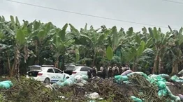 Hallan cadáver baleado de una venezolana en zona agrícola de Ecuador