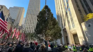 árbol de navidad rockefeller center nueva york árbol de navidad rockefeller center nueva york