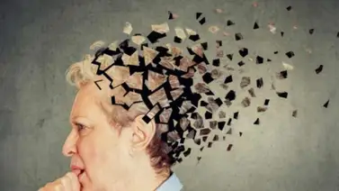 ¿Cuál es el alimento ideal para reducir el riesgo de padecer alzheimer? Aquí te decimos ¿Cuál es el alimento ideal para reducir el riesgo de padecer alzheimer? Aquí te decimos