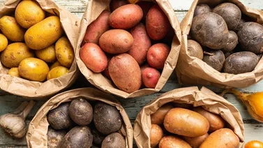 Estos son los tipos de papas y sus beneficios