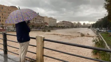 En Imágenes | Así se encuentra Málaga tras el paso de la DANA este #13Nov En Imágenes | Así se encuentra Málaga tras el paso de la DANA este #13Nov