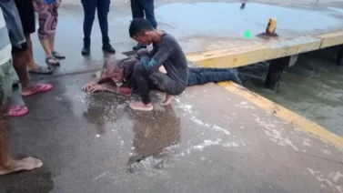 Sexagenario cae al mar mientras conducía su camioneta en Falcón