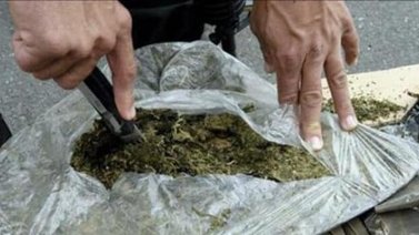 Incautan siete toneladas de marihuana en Colombia