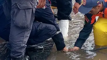 Emergencia del hospital Pérez de León anegado tras intensas lluvias (+Video) Emergencia del hospital Pérez de León anegado tras intensas lluvias (+Video)