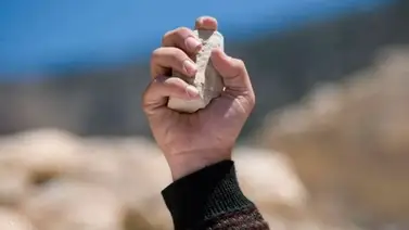 Detenido un sexagenario por agredir a pedradas a sus sobrinos Detenido un sexagenario por agredir a pedradas a sus sobrinos