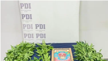 Cae venezolano por tráfico de 300 dosis de droga (+Detalles)