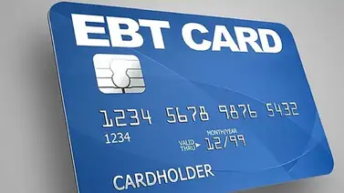 tarjetas tarjeta ebt florida cupones snap beneficios tarjetas tarjeta ebt florida cupones snap beneficios