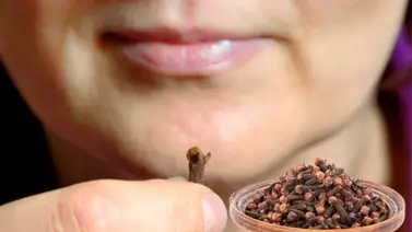 Masticar clavos de olor no solo alivia el dolor de muela ¡Esto debes saber! Masticar clavos de olor no solo alivia el dolor de muela ¡Esto debes saber!