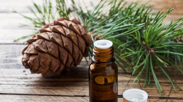 Conoce cuál es el aromatizante perfecto para que tu hogar huela a navidad