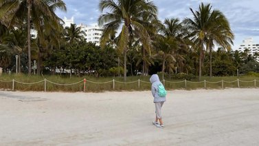 pronóstico clima miami florida