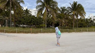 pronóstico clima miami florida