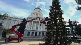 árbol de navidad stockton sacramento california eeuu