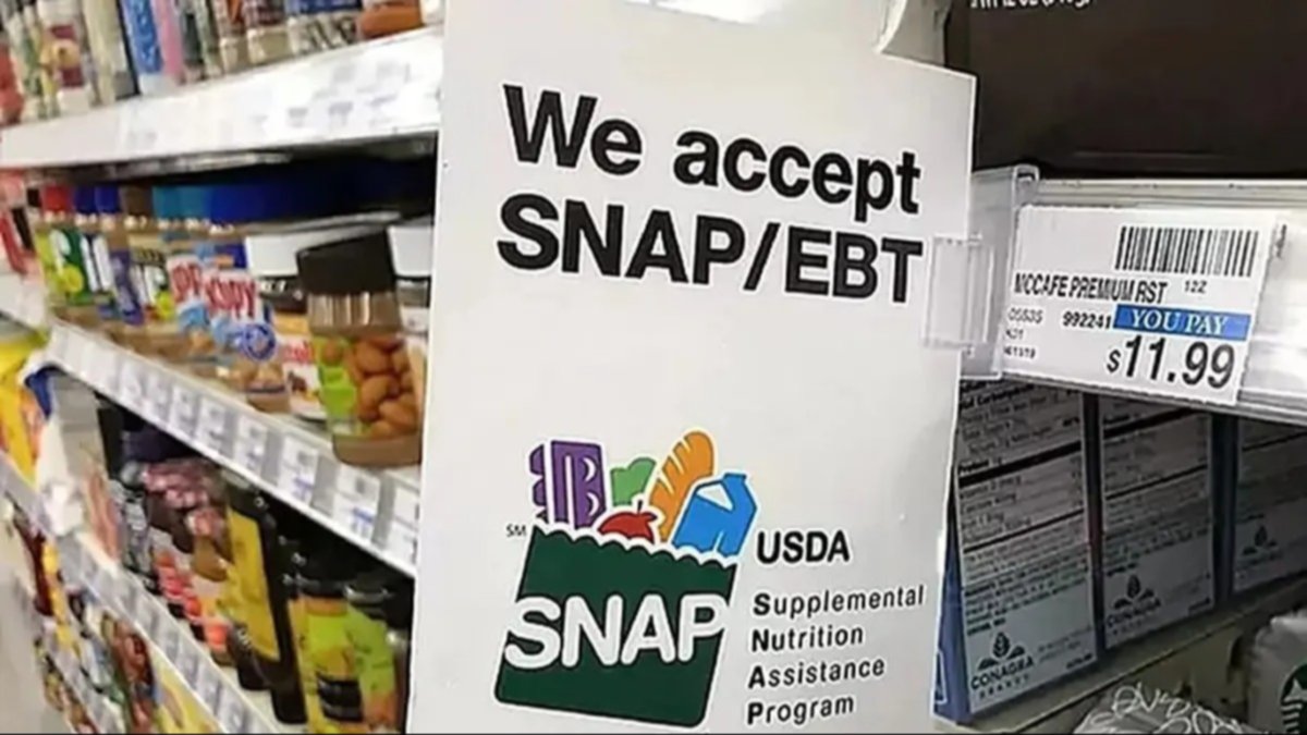 Learn about the SNAP coupon payments for December (+List)