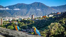 ¿Qué significa ser caraqueño? Fecha límite de postulación al concurso