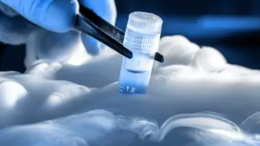 Conoce si eres una mujer elegible, o no,  para congelar tus óvulos Conoce si eres una mujer elegible, o no,  para congelar tus óvulos