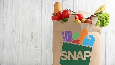 Pago SNAP | Conozca hasta que fecha se entrega $1.756 