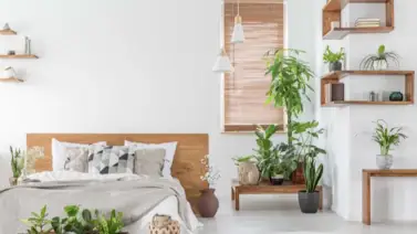 Apóyate en la naturaleza para destacar el interior de tu hogar Apóyate en la naturaleza para destacar el interior de tu hogar