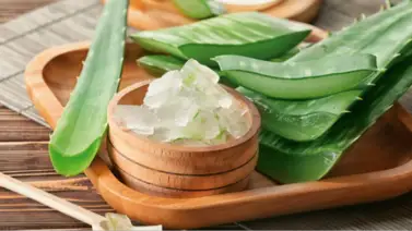 Entérate de cuáles son los efectos del aloe vera en el rostro Entérate de cuáles son los efectos del aloe vera en el rostro