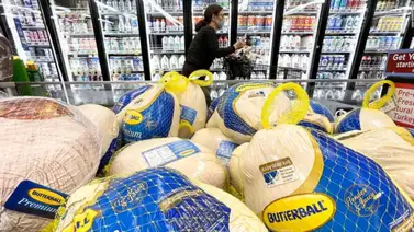 pavos pavo día de acción de gracias eeuu thanksgiving tiendas pavos pavo día de acción de gracias eeuu thanksgiving tiendas