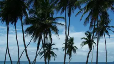 Nueva Esparta | Piden a temporadistas no cancelar reservaciones de diciembre Nueva Esparta | Piden a temporadistas no cancelar reservaciones de diciembre