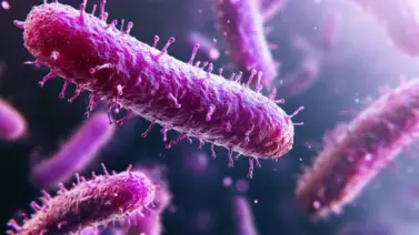 Brote de listeria en California causa la muerte de un bebé Brote de listeria en California causa la muerte de un bebé