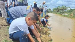 Liberan más de 300 galápagos llaneros y perros zorros en Guárico