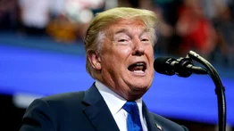 Trump impondrá aranceles de 25% a importaciones de México y Canadá