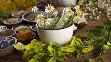 Muere niña tras ingerir bebida a base de plantas medicinales en Sucre Muere niña tras ingerir bebida a base de plantas medicinales en Sucre