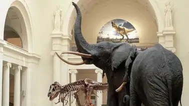 eeuu-museos-gratis-Thanksgiving eeuu-museos-gratis-Thanksgiving