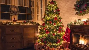 eeuu-black-friday-arboles  eeuu-black-friday-arboles