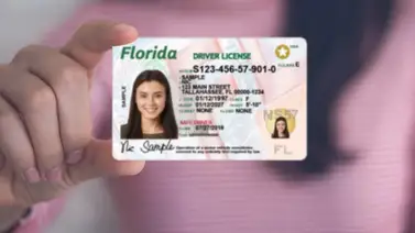 real id florida eeuu identificación inmigrantes real id florida eeuu identificación inmigrantes