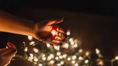Joven latino murió mientras instalaba luces navideñas