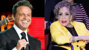 ¿Cuál era el parentesco de Silvia Pinal y Luis Miguel? ¿Cuál era el parentesco de Silvia Pinal y Luis Miguel?