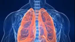 La fruta para mejorar el funcionamiento de los pulmones