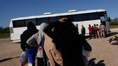 autobuese sinmigranres ilegales indocumentados texas eeuu ice autobuese sinmigranres ilegales indocumentados texas eeuu ice