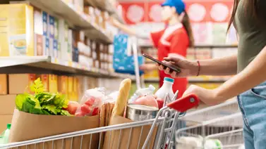 Florida-cupones-snap-pagos-diciembre  Florida-cupones-snap-pagos-diciembre