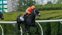¡Historia en Del Mar! José Francisco D’Angelo se convierte en el primer venezolano en ganar una Breeders’ Cup