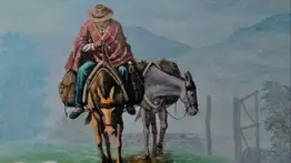 2001online - venezuela - pacheco caracas