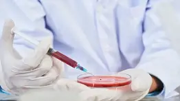 Entérate de cuál es el jugo rico en hierro y vitaminas que eleva la hemoglobina: prepáralo con estos tres ingredientes muy económicos