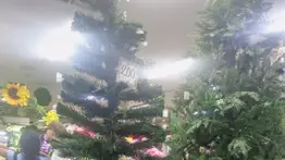 2001online - Caracas-navideños