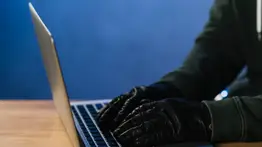 2001ONLINE - VENEZUELA - CIBERDELINCUENTES ESTAFAS