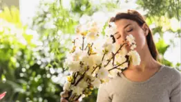 Cada olor tiene un efecto diferente en ti: expertos en fragancia indican cómo actúa la mente ante los aromas