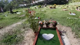 2001online - Venezuela- Parcelas