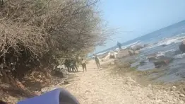 ¡Terror en La Guaira! Vecinos hallan extremidades humanas dispersas en Catia La Mar